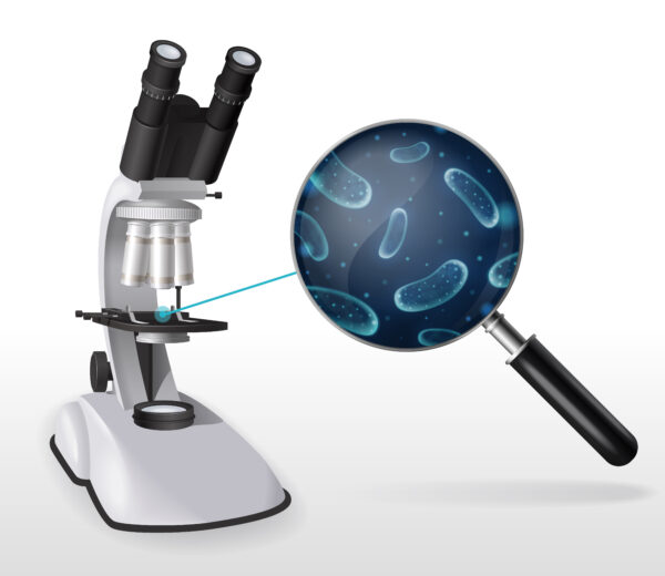 Magnus Inclined Binocular Microscope, MLX-B Plus (SP)